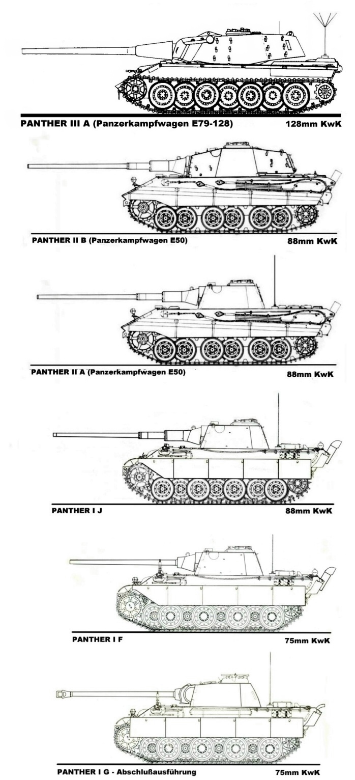 Panther%20I%20-%20Panther%20II%20-%20Panther%20III.JPG