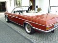 Filename=C114_250CE_Cabrio_04.jpg
Filesize=186KB
Dimensions=700x525
Date added=Sep 09, 2007 C114_250CE_Cabrio_04.jpg