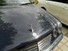 Filename=Mercedes-Treffen Hannover-Gabsen 14_05_2016 (1).JPG
Filesize=569KB
Dimensions=1641x1231
Date added=May 15, 2016 Mercedes-Treffen Hannover-Gabsen 14_05_2016 (1).JPG