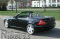 R170_190SL_2_3-txt.JPG