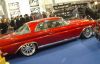 Filename=W111_Coupe_fettshop.JPG
Filesize=192KB
Dimensions=874x564
Date added=May 19, 2008 W111_Coupe_fettshop.JPG