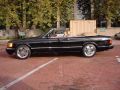 c126-560SEC-Cabrio-schwwarz-creme-amg-felgen-06.jpg