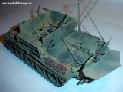Bergepanther