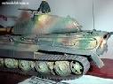 tiger2_04.jpg