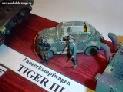 tiger305.jpg