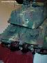tiger321.jpg